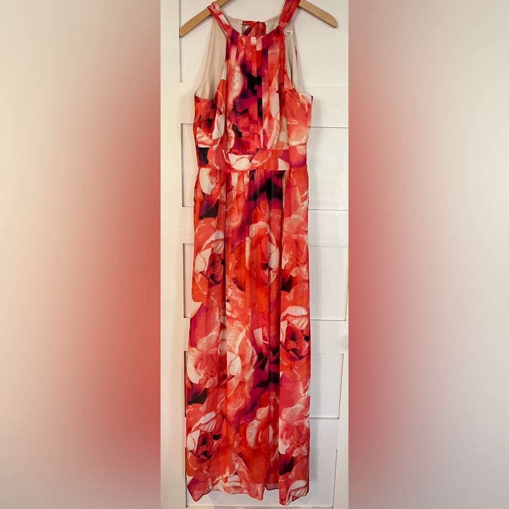 Eliza J Floral Maxi Dress - Red and Pink